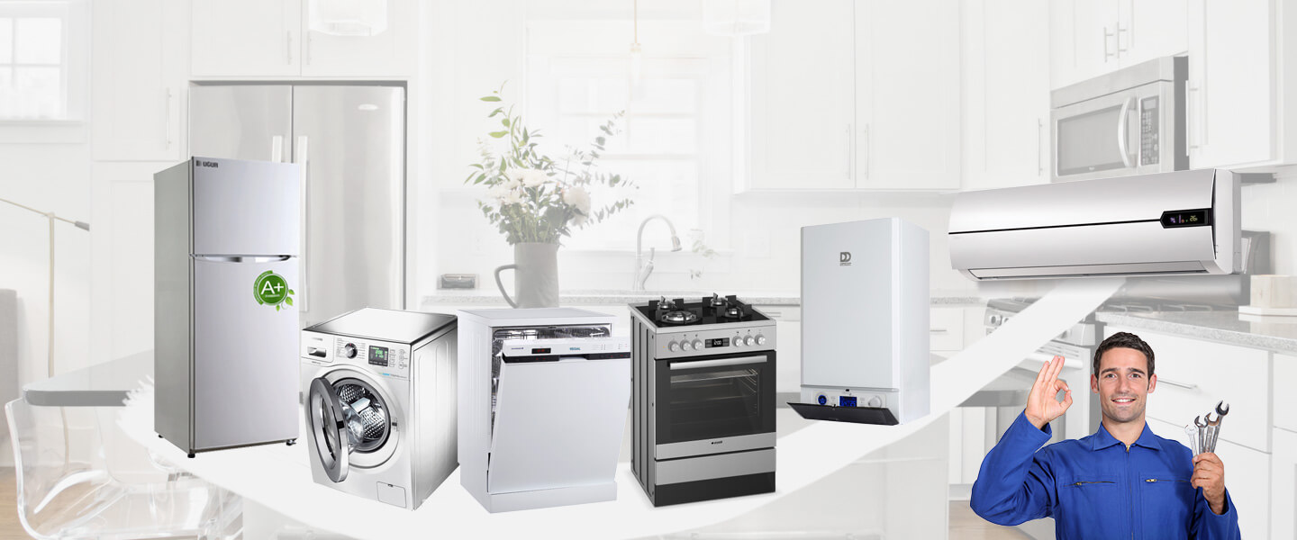 Karlıova Smeg Servisi